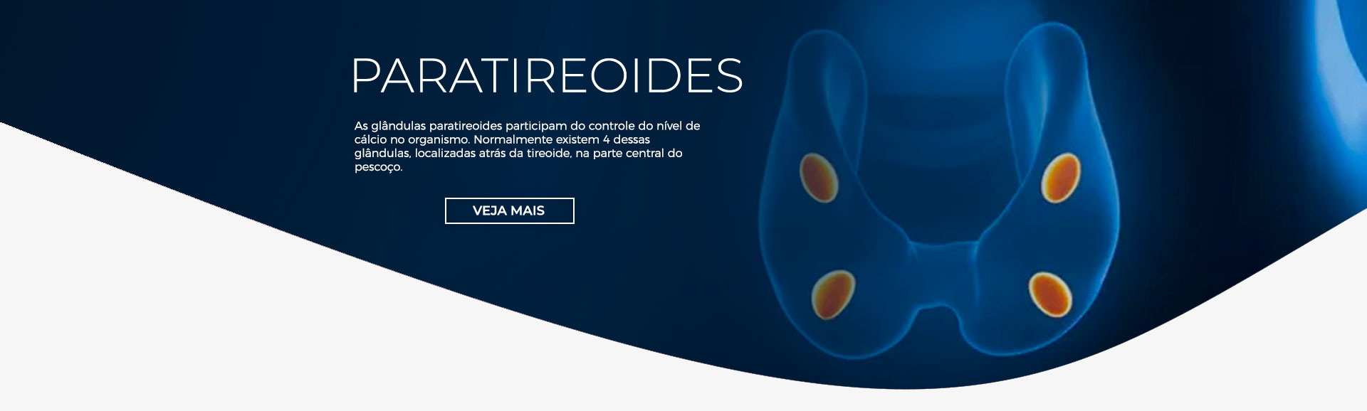 Paratireoides | Dr. André Potenza Desktop