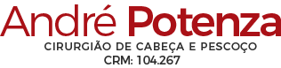 Logo André Potenza